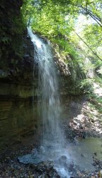 IMG_0360.jpg