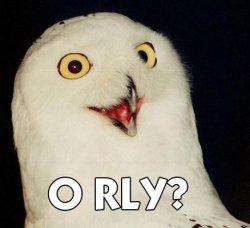 Owl - O rly.jpg