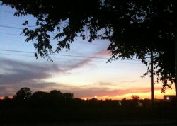 Sunset Aug 11.jpg