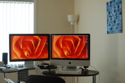 DSC_2687.JPG