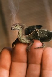 babydragonba7.jpg