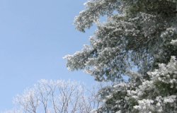 hoarFrost2.jpg