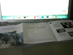 img0023xfi.jpg