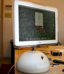 rsz_img_1768.jpg