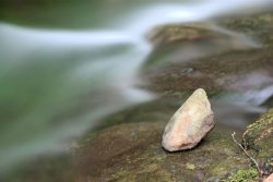 IMG_2315.JPG