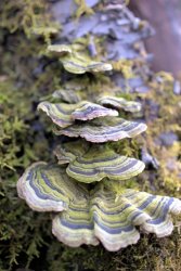 IMG_2316.JPG