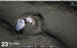 screen.jpg