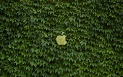 Eco_Apple_wallpaper_by_JarekZ.jpg