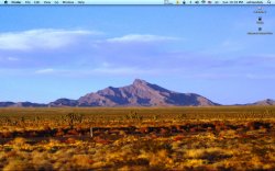 Picture 32.jpg