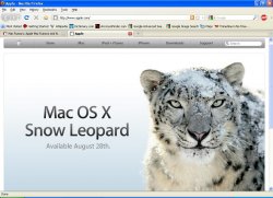 snow_leopard.JPG