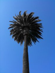 IMG_0882.JPG