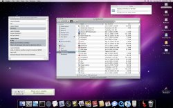 Screen shot 2009-08-29 at 8.36.03 PM.jpg