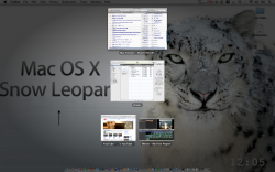 Screen shot 2009-08-31 at 12.05.11 AM.png