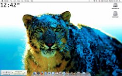 Desktop resize.jpg