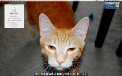 Screen shot 2009-09-05 at 8.31.42 AM.jpg