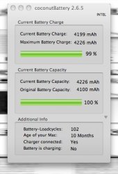 coconutBattery 2.6.5.jpg