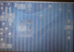 IMG_3225b.jpg