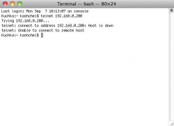 Terminal.jpg