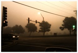 Fog2.jpg