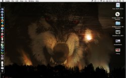 Screen shot 2009-09-26 at 2.06.22 PM.jpg