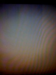 photo.jpg