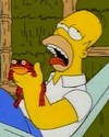 homer_licks_canetoad3.jpg