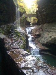 Watkins Glen SP.jpg