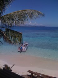 IMG_0113.jpg