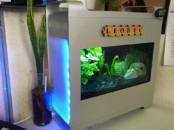 G5 FishTank 7.JPG