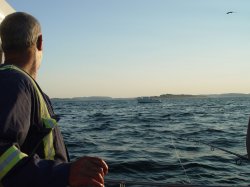 on the water.jpg
