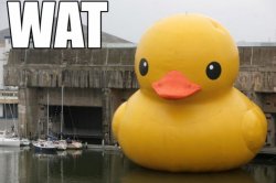 1255387804490.jpg