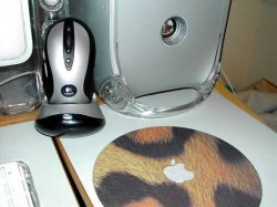 mouse.jpg