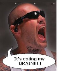 metzger.jpg