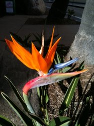 IMG_0997.JPG