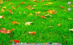 Screen shot 2009-10-24 at 1.38.21 PM.jpg