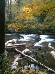 Cades Cove.jpg