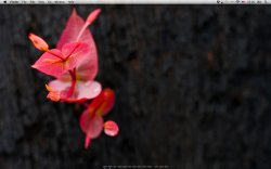 Screen shot 2009-10-26 at 23.26.39 .jpg