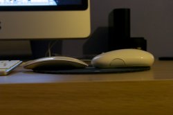 mouse3.jpg