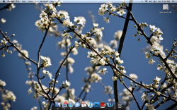 Screen shot 2009-11-01 at 5.16.15 PM.png