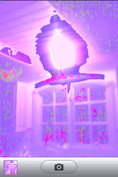 IMG_0598.PNG