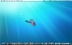 november_2009desk2.jpg
