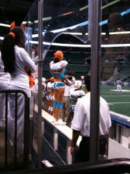 miami caliente sideline 11132009.JPG