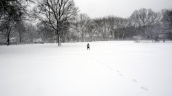 Abandonedatpark.jpg