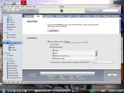 OUTLOOK to iPhone iTune print scn.jpg