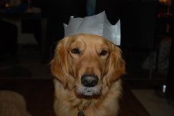 DSC_0394.JPG