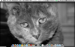 Screen shot 2009-12-01 at 5.41.52 PM.png