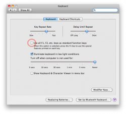 Screen-shot-2009-12-03-at-2.55.32-AM.jpg