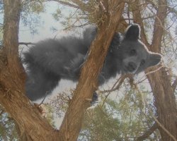 IMG_0482.jpg