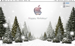 Screen shot 2009-12-13 at 4.47.12 PM.png