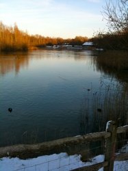 IMG_0200.jpg